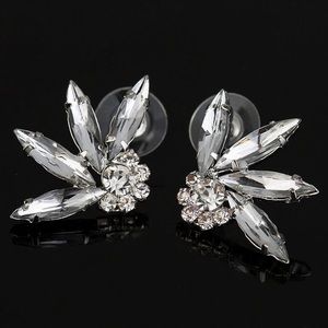 Sparkling Earrings
